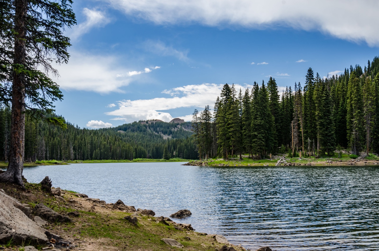 State Parks & Recreation